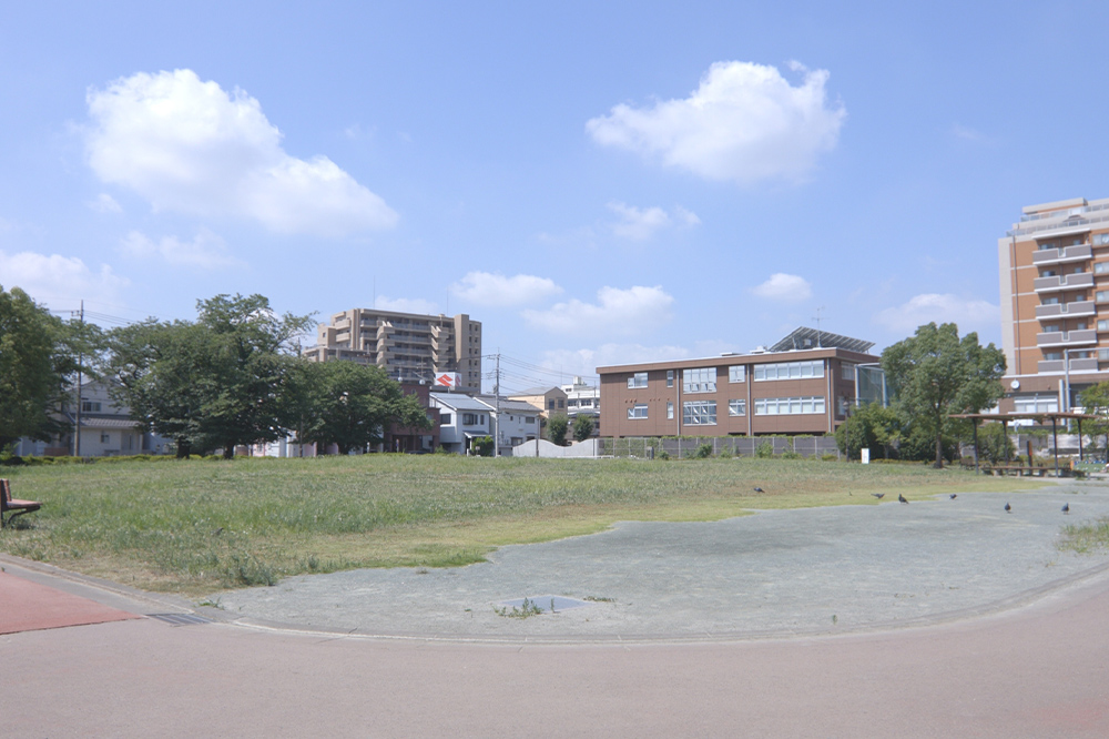 芝生の公園